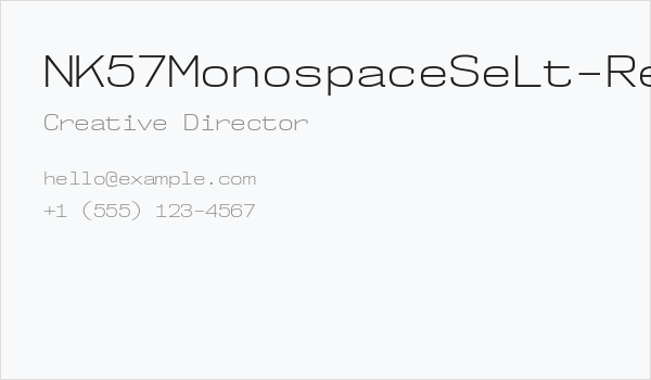 NK57MonospaceSeLt-Regular Business Card