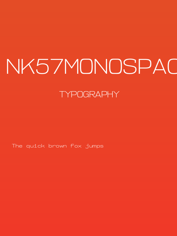 NK57MonospaceSeLt-Regular Poster