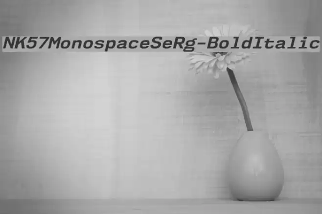 NK57MonospaceSeRg-BoldItalic Font examples