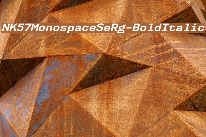 NK57MonospaceSeRg-BoldItalic Font examples