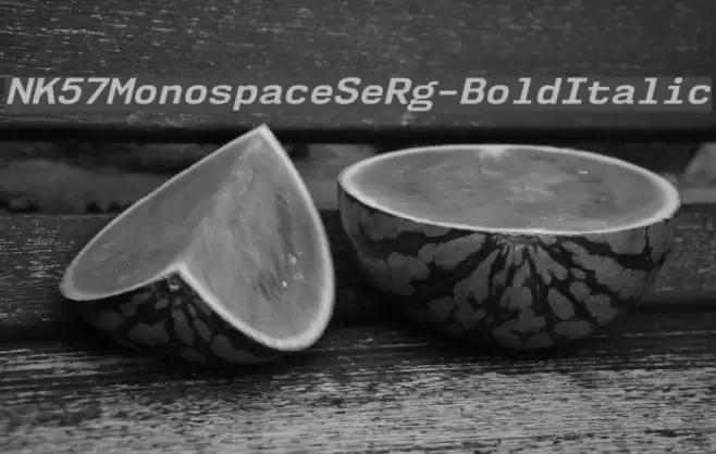 NK57MonospaceSeRg-BoldItalic Font examples