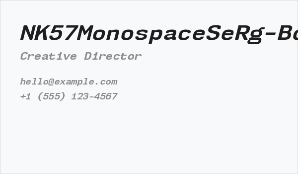 NK57MonospaceSeRg-BoldItalic Business Card
