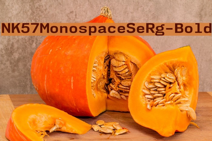 NK57MonospaceSeRg-Bold Font examples