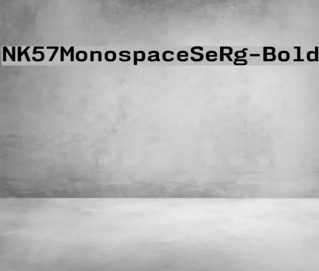 NK57MonospaceSeRg-Bold Font examples