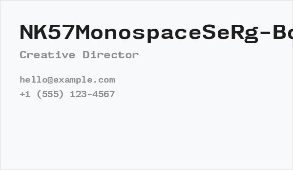 NK57MonospaceSeRg-Bold Business Card