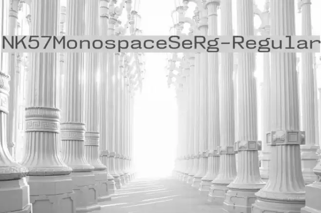 NK57MonospaceSeRg-Regular Font examples