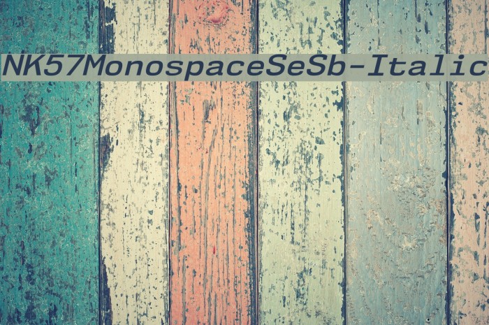 NK57MonospaceSeSb-Italic Font examples