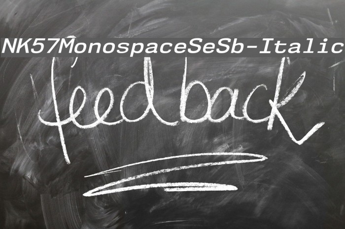 NK57MonospaceSeSb-Italic Font examples
