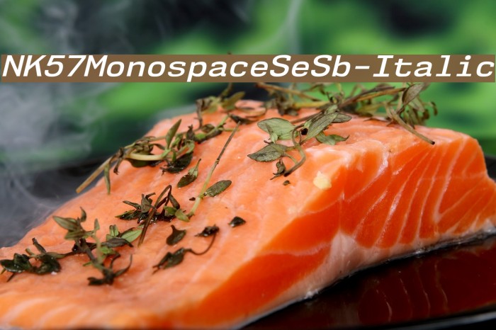NK57MonospaceSeSb-Italic Font examples