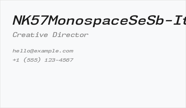 NK57MonospaceSeSb-Italic Business Card