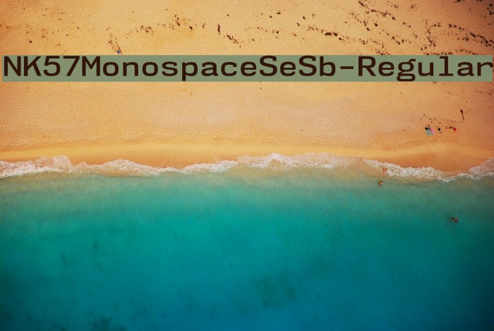 NK57MonospaceSeSb-Regular Font examples
