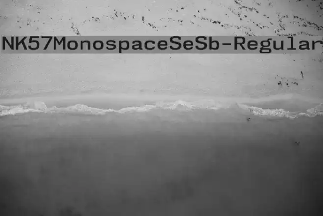 NK57MonospaceSeSb-Regular Example 1