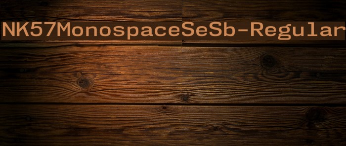 NK57MonospaceSeSb-Regular Font examples