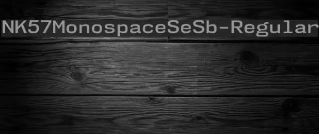 NK57MonospaceSeSb-Regular Example 2
