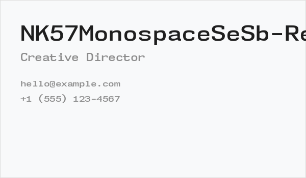 NK57MonospaceSeSb-Regular Business Card