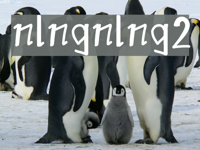nlngnlng2 Example 1