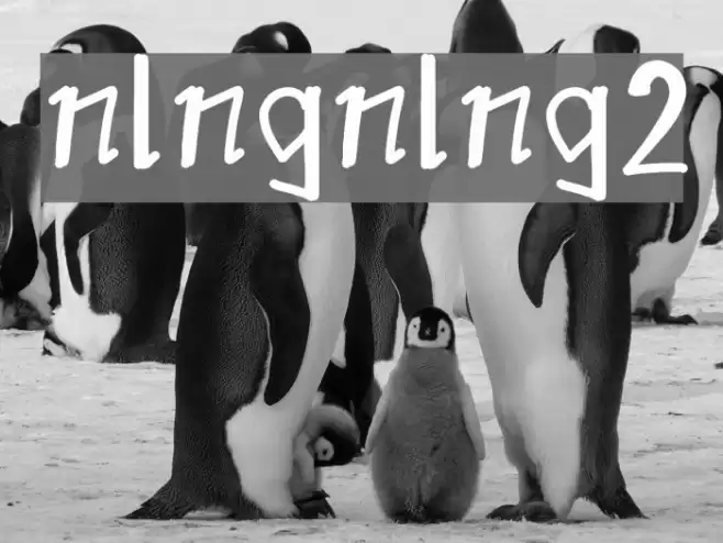 nlngnlng2 Font examples