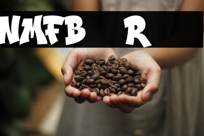 NMFBurner-Regular Example 2