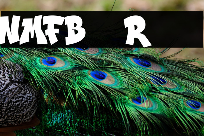 NMFBurner-Regular Example 3