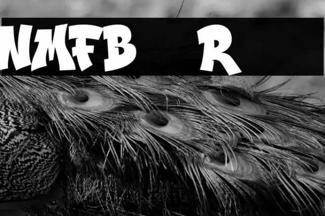 NMFBurner-Regular Font examples