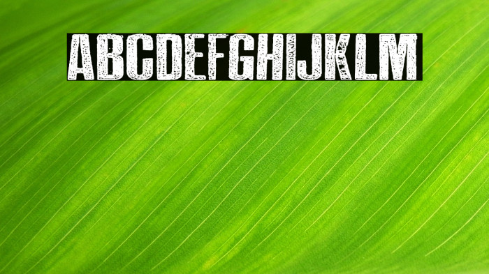 NO STRESS PERSONAL USE Regular Example 2