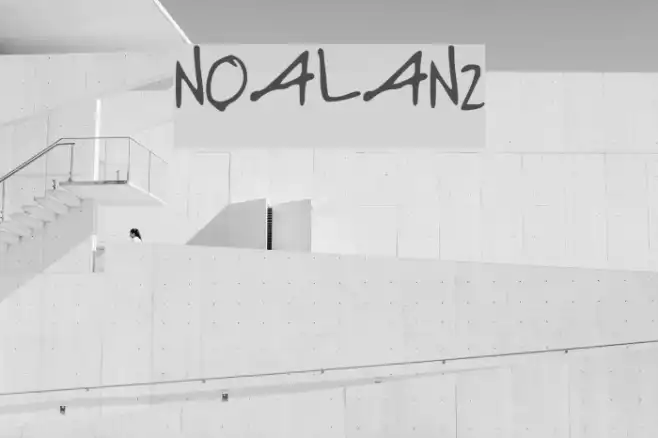 NOALANI Example 1