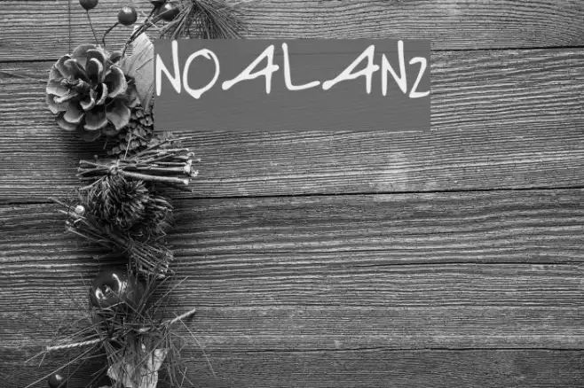 NOALANI Example 3