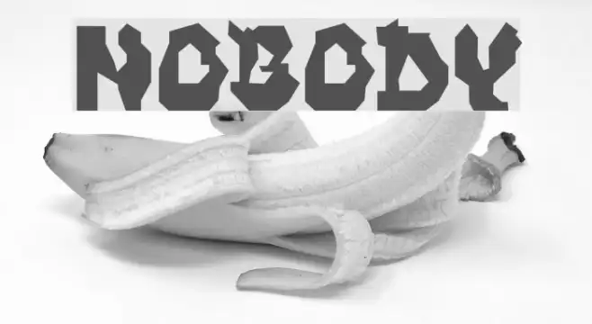 NOBODY Example 2