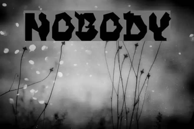 NOBODY Example 3