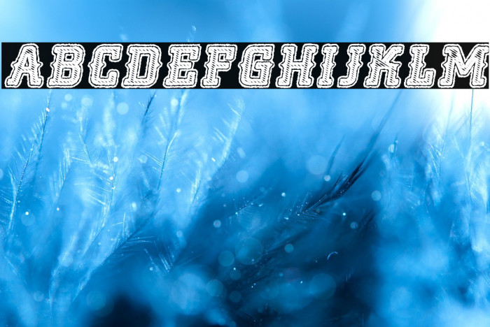 NOCLASS ITALIC PERSONAL USE Bold Italic Example 1