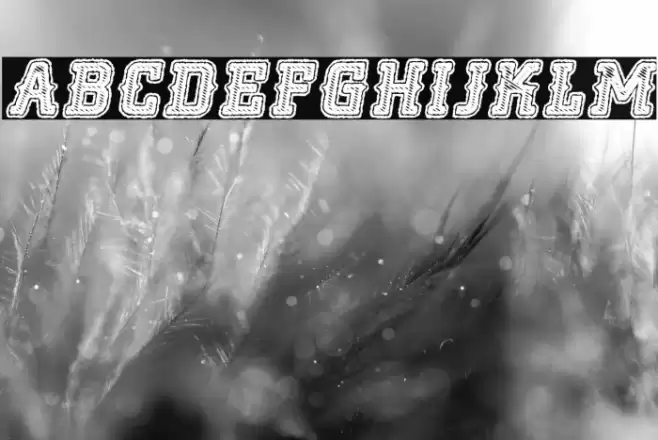 NOCLASS ITALIC PERSONAL USE Bold Italic Font examples