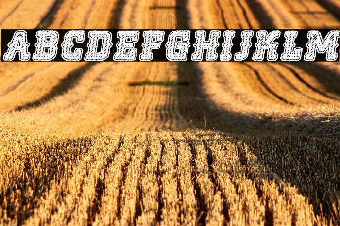 NOCLASS ITALIC PERSONAL USE Bold Italic Example 2