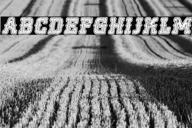 NOCLASS ITALIC PERSONAL USE Bold Italic Font examples