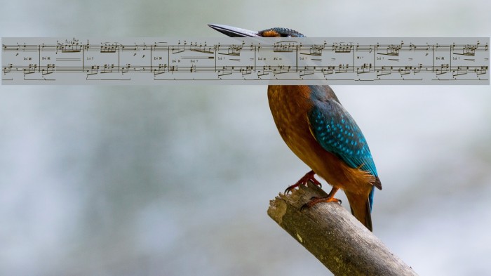 NOCTURNAL-EXPERIENCE Example 3