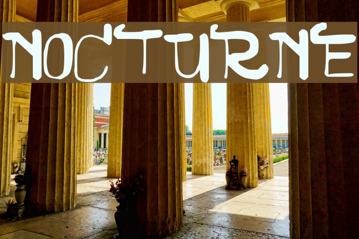 NOCTURNE Font examples
