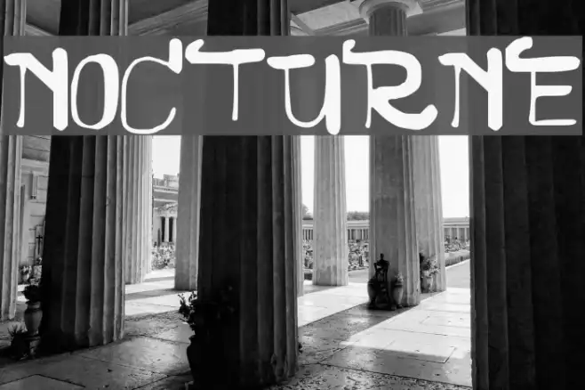 NOCTURNE Example 1