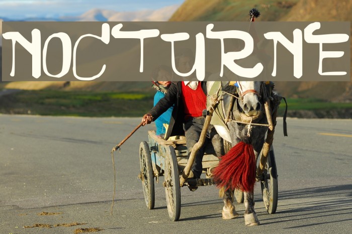 NOCTURNE Font examples