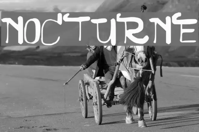 NOCTURNE Example 3
