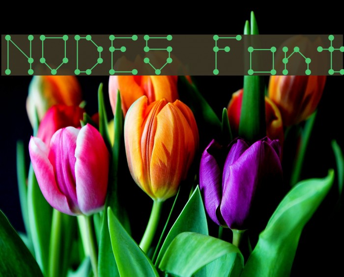 NODES Font examples