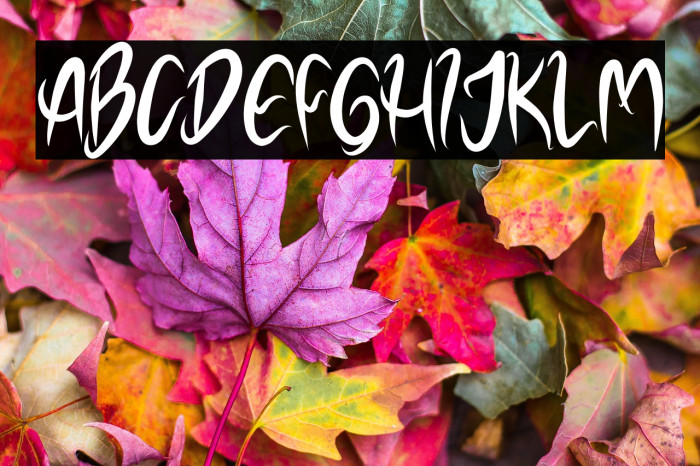 NOELALEXANDER DEMO Example 1