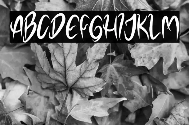 NOELALEXANDER DEMO Font examples