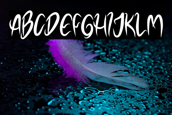 NOELALEXANDER DEMO Example 2