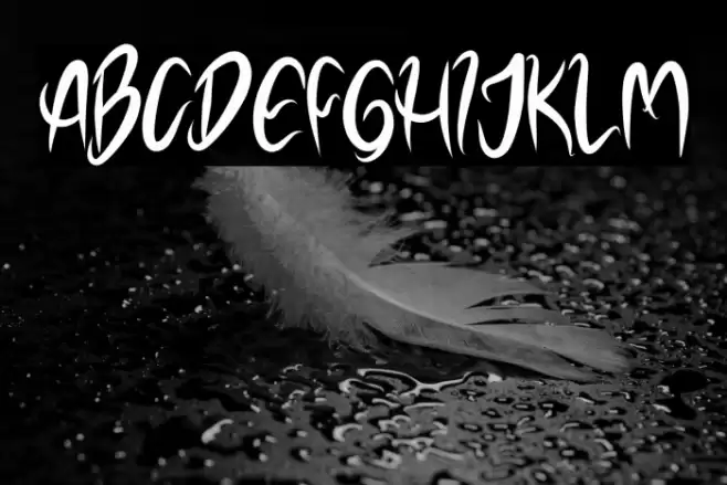 NOELALEXANDER DEMO Font examples