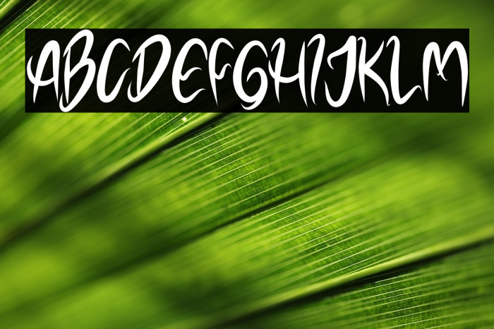 NOELALEXANDER DEMO Example 3