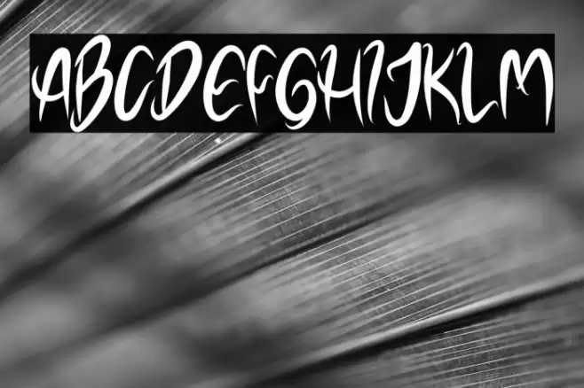 NOELALEXANDER DEMO Font examples