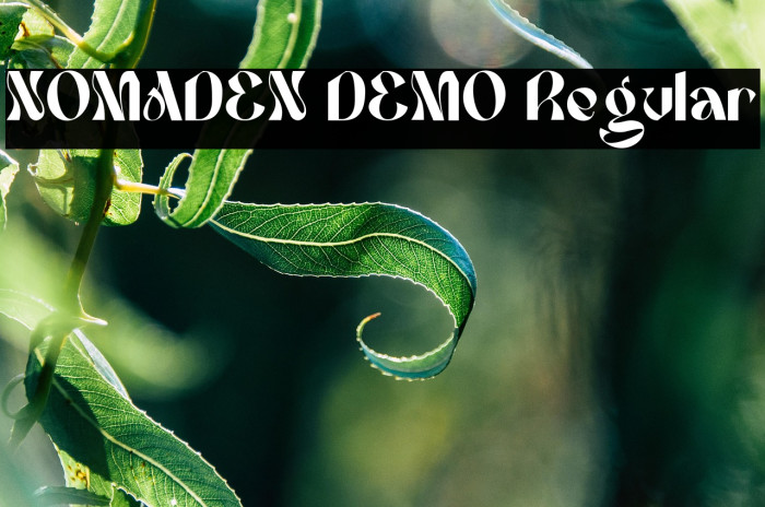 NOMADEN DEMO Regular Example 1