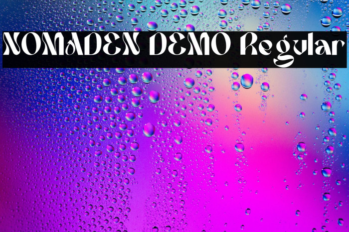 NOMADEN DEMO Regular Example 2