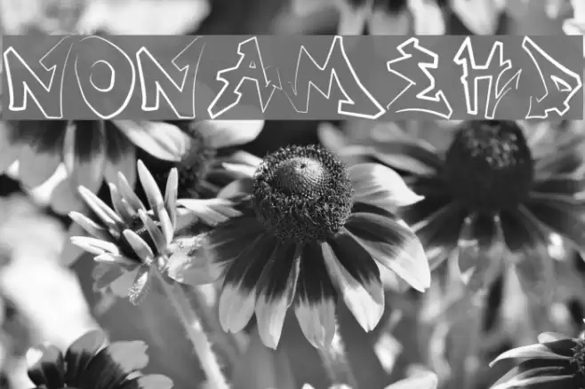 NONAMEHD Font examples