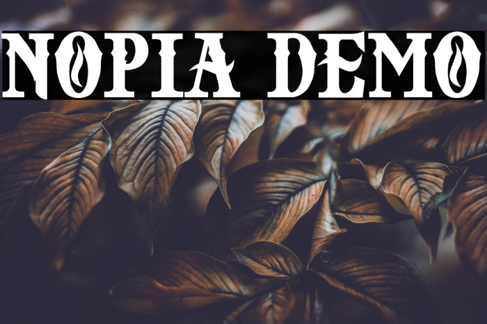 NOPIA DEMO Example 1