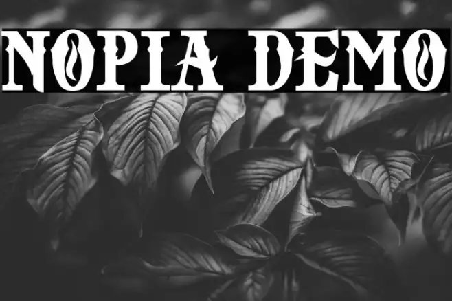NOPIA DEMO Example 1